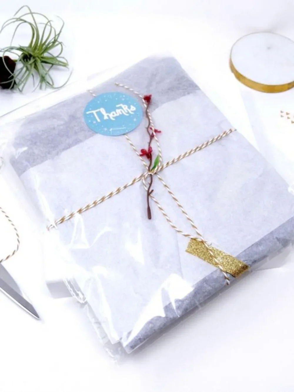 Clear 5X5 Self Seal Bags (25)